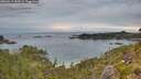 ./images/calvert/foggy-cove/20260615/foggy-cove20260615_053501M.jpg