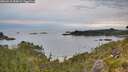 ./images/calvert/foggy-cove/20260615/foggy-cove20260615_054501M.jpg