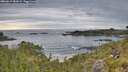 ./images/calvert/foggy-cove/20260615/foggy-cove20260615_082001M.jpg