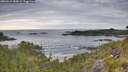 ./images/calvert/foggy-cove/20260615/foggy-cove20260615_083001M.jpg