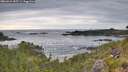 ./images/calvert/foggy-cove/20260615/foggy-cove20260615_083501M.jpg