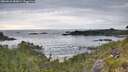./images/calvert/foggy-cove/20260615/foggy-cove20260615_084001M.jpg