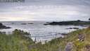 ./images/calvert/foggy-cove/20260615/foggy-cove20260615_084501M.jpg