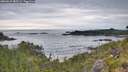 ./images/calvert/foggy-cove/20260615/foggy-cove20260615_085501M.jpg