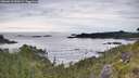 ./images/calvert/foggy-cove/20260615/foggy-cove20260615_090501M.jpg