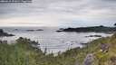 ./images/calvert/foggy-cove/20260615/foggy-cove20260615_091001M.jpg