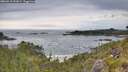 ./images/calvert/foggy-cove/20260615/foggy-cove20260615_092001M.jpg