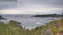 ./images/calvert/foggy-cove/20260615/foggy-cove20260615_093501M.jpg