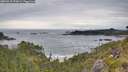 ./images/calvert/foggy-cove/20260615/foggy-cove20260615_094001M.jpg