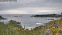 ./images/calvert/foggy-cove/20260615/foggy-cove20260615_094501M.jpg