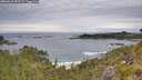 ./images/calvert/foggy-cove/20260615/foggy-cove20260615_095501M.jpg