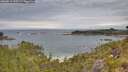 ./images/calvert/foggy-cove/20260615/foggy-cove20260615_100501M.jpg