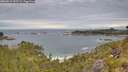 ./images/calvert/foggy-cove/20260615/foggy-cove20260615_101501M.jpg