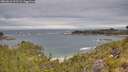 ./images/calvert/foggy-cove/20260615/foggy-cove20260615_102501M.jpg