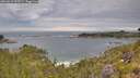 ./images/calvert/foggy-cove/20260615/foggy-cove20260615_103501M.jpg