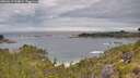./images/calvert/foggy-cove/20260615/foggy-cove20260615_104001M.jpg