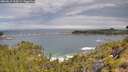 ./images/calvert/foggy-cove/20260615/foggy-cove20260615_104501M.jpg