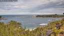 ./images/calvert/foggy-cove/20260615/foggy-cove20260615_105501M.jpg