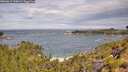 ./images/calvert/foggy-cove/20260615/foggy-cove20260615_110001M.jpg