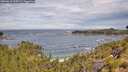 ./images/calvert/foggy-cove/20260615/foggy-cove20260615_110501M.jpg
