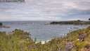 ./images/calvert/foggy-cove/20260615/foggy-cove20260615_111001M.jpg