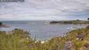 ./images/calvert/foggy-cove/20260615/foggy-cove20260615_111501M.jpg