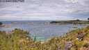 ./images/calvert/foggy-cove/20260615/foggy-cove20260615_112001M.jpg