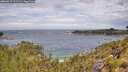 ./images/calvert/foggy-cove/20260615/foggy-cove20260615_112502M.jpg