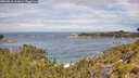 ./images/calvert/foggy-cove/20260615/foggy-cove20260615_113001M.jpg