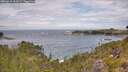 ./images/calvert/foggy-cove/20260615/foggy-cove20260615_113501M.jpg