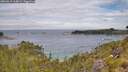 ./images/calvert/foggy-cove/20260615/foggy-cove20260615_114001M.jpg