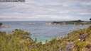 ./images/calvert/foggy-cove/20260615/foggy-cove20260615_114501M.jpg