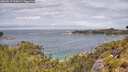 ./images/calvert/foggy-cove/20260615/foggy-cove20260615_115001M.jpg
