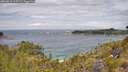 ./images/calvert/foggy-cove/20260615/foggy-cove20260615_115501M.jpg