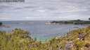 ./images/calvert/foggy-cove/20260615/foggy-cove20260615_120002M.jpg