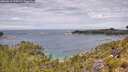 ./images/calvert/foggy-cove/20260615/foggy-cove20260615_120502M.jpg
