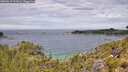 ./images/calvert/foggy-cove/20260615/foggy-cove20260615_121002M.jpg