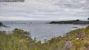 ./images/calvert/foggy-cove/20260615/foggy-cove20260615_122001M.jpg