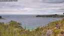./images/calvert/foggy-cove/20260615/foggy-cove20260615_124001M.jpg