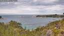 ./images/calvert/foggy-cove/20260615/foggy-cove20260615_125502M.jpg