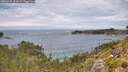 ./images/calvert/foggy-cove/20260615/foggy-cove20260615_131001M.jpg