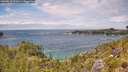 ./images/calvert/foggy-cove/20260615/foggy-cove20260615_133001M.jpg