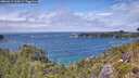 ./images/calvert/foggy-cove/20260615/foggy-cove20260615_134501M.jpg