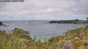 ./images/calvert/foggy-cove/20260615/foggy-cove20260615_140002M.jpg