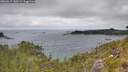 ./images/calvert/foggy-cove/20260615/foggy-cove20260615_140501M.jpg