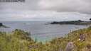 ./images/calvert/foggy-cove/20260615/foggy-cove20260615_141001M.jpg