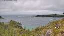 ./images/calvert/foggy-cove/20260615/foggy-cove20260615_141501M.jpg