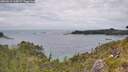 ./images/calvert/foggy-cove/20260615/foggy-cove20260615_144501M.jpg