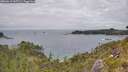 ./images/calvert/foggy-cove/20260615/foggy-cove20260615_145502M.jpg