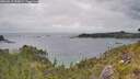 ./images/calvert/foggy-cove/20260615/foggy-cove20260615_152001M.jpg